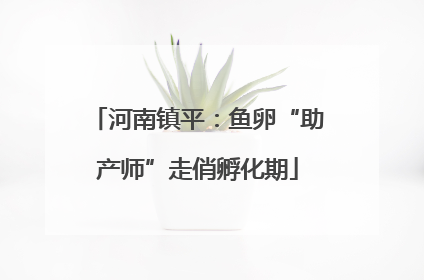 河南镇平：鱼卵“助产师”走俏孵化期